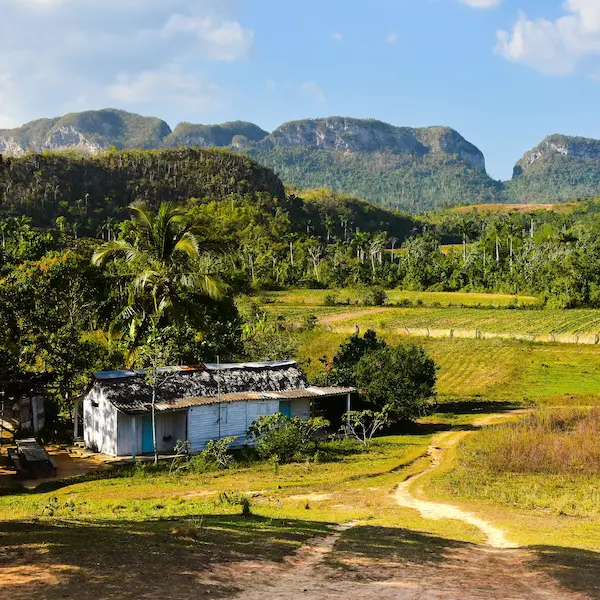 Paisaje rural de Cuba como símbolo de emigrar sin olvidar las raíces